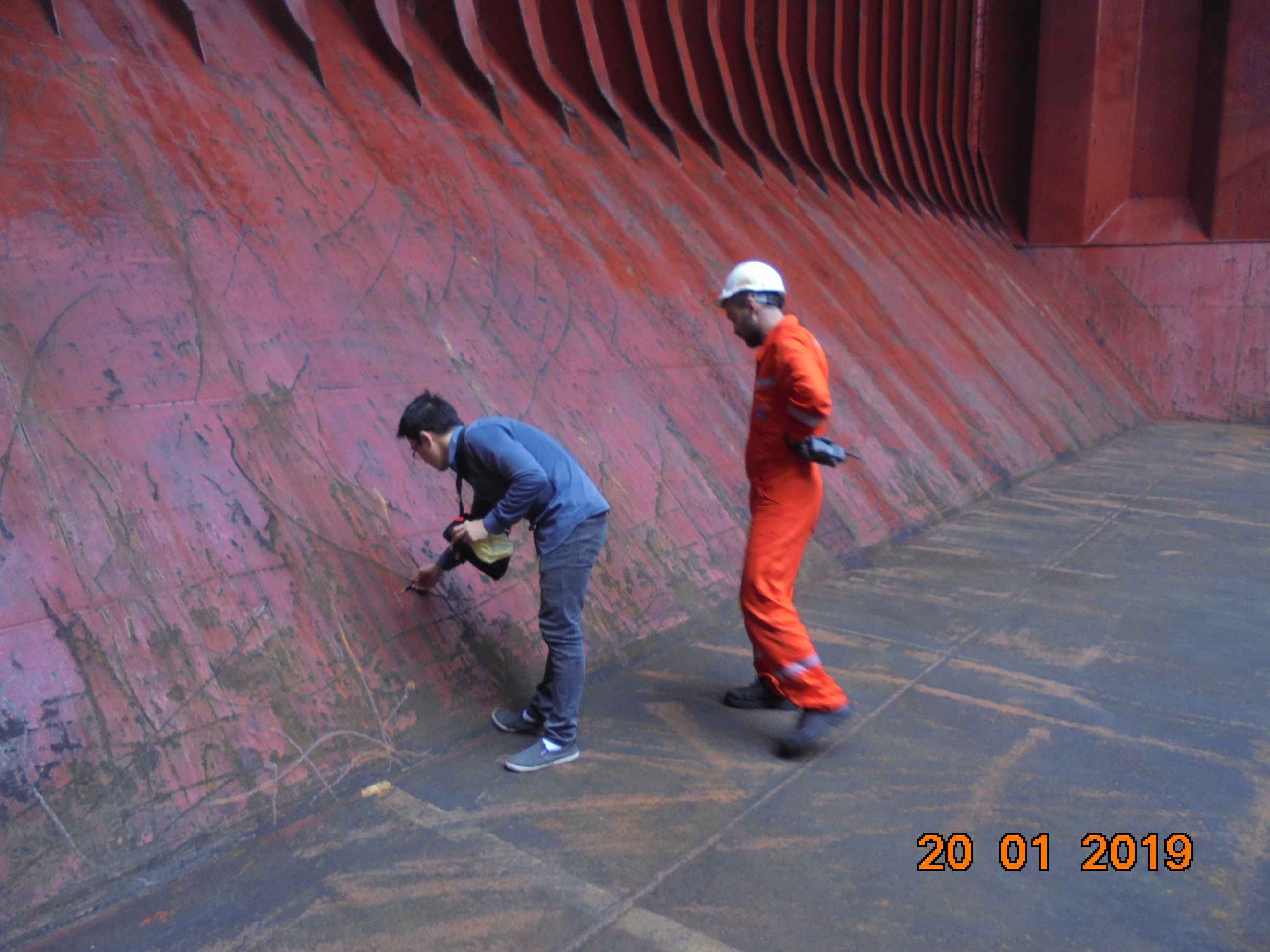 Cargo hold cleanliness survey